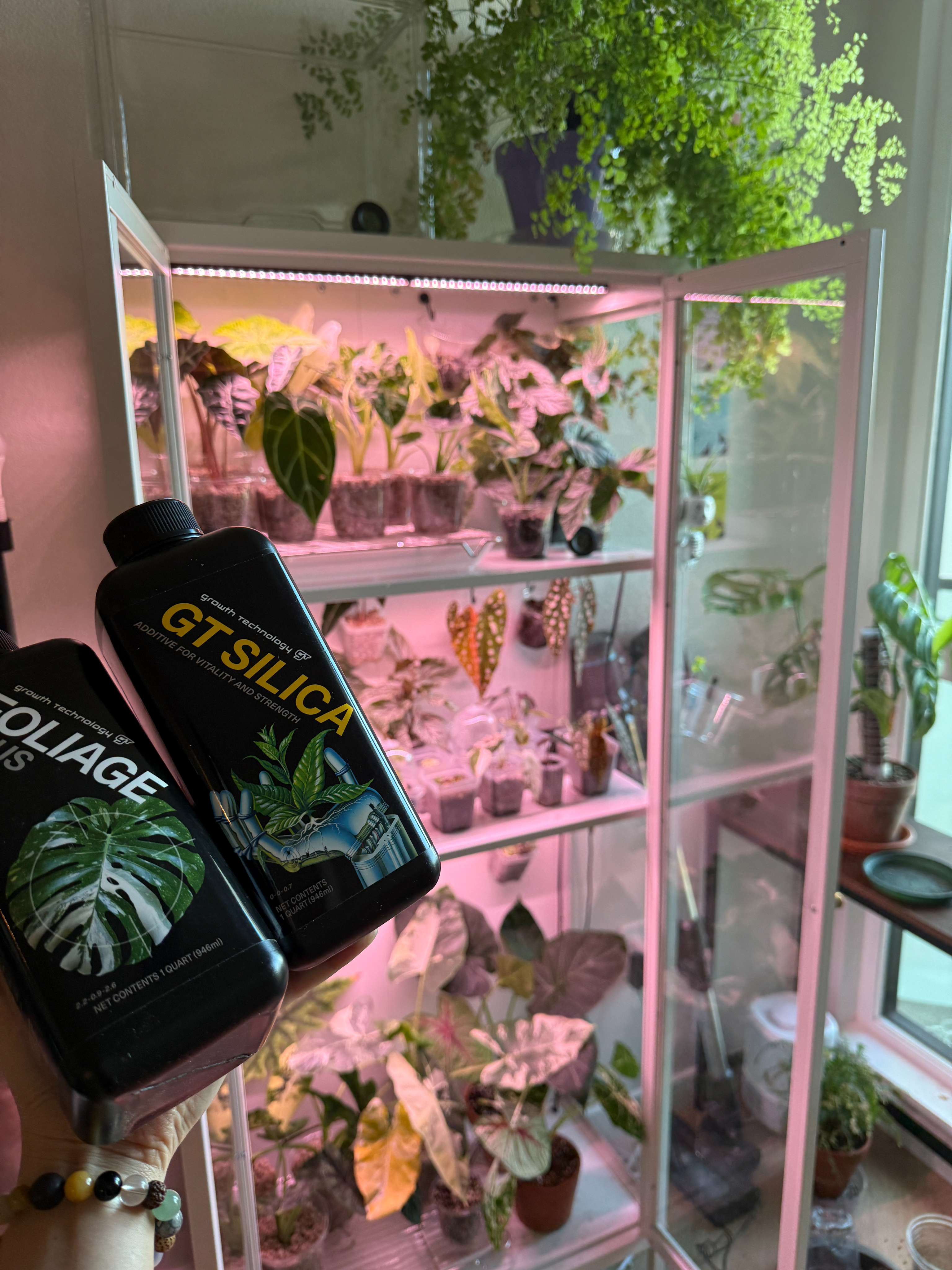 painting of woman looking to the side